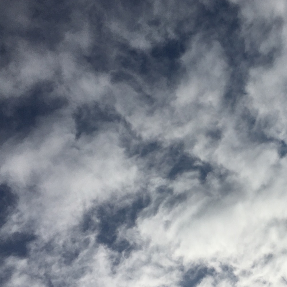 Meet your Posher, Meya